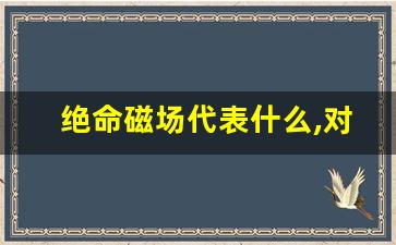 绝命磁场代表什么,对健康好的数字磁场