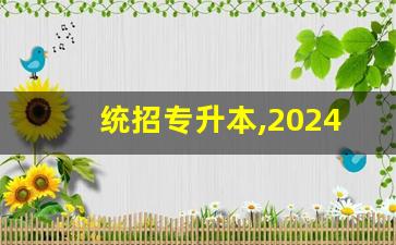 统招专升本,2024专升本政策最新