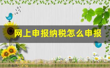 网上申报纳税怎么申报