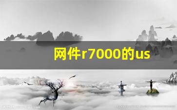 网件r7000的usb可以做什么,r7000笔记本接口USB接口