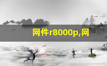 网件r8000p,网件R8500