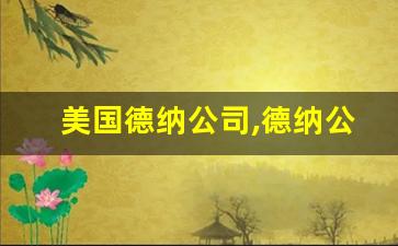 美国德纳公司,德纳公司待遇怎么样