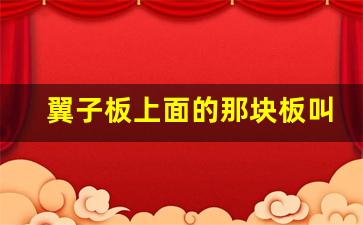 翼子板上面的那块板叫什么,翼子板图片