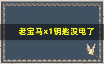 老宝马x1钥匙没电了怎么办,如何更换宝马x1钥匙电池视频