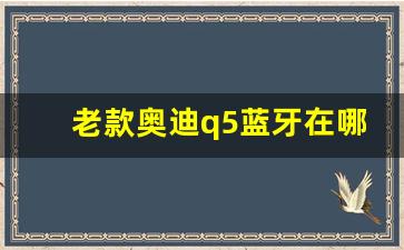 老款奥迪q5蓝牙在哪里打开