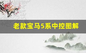 老款宝马5系中控图解,宝马525li车内按键说明