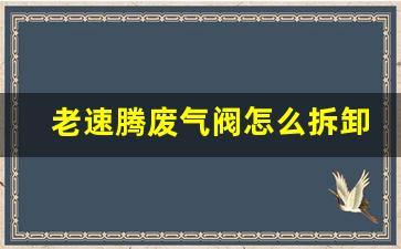 老速腾废气阀怎么拆卸