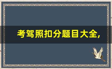 考驾照扣分题目大全,科目一快速记忆法