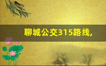 聊城公交315路线,聊城k2路公交车路线