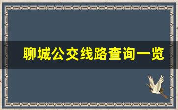 聊城公交线路查询一览表,聊城3路公交车路线查询