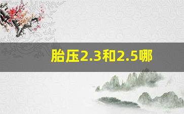 胎压2.3和2.5哪个舒服,胎压2.6需要放气吗