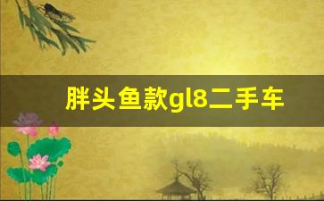 胖头鱼款gl8二手车,买二手gl8的十句忠告