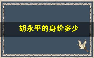 胡永平的身价多少