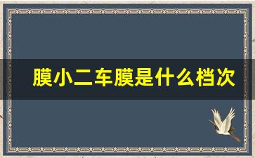 膜小二车膜是什么档次