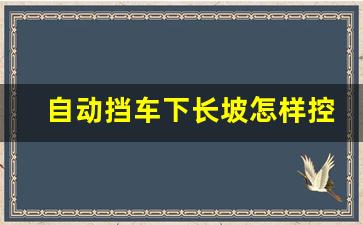 自动挡车下长坡怎样控制车速