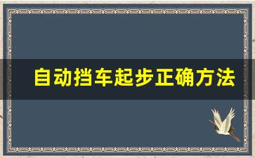 自动挡车起步正确方法,忘了松手刹的补救方法