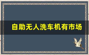 自助无人洗车机有市场前景吗,自助无人洗车店加盟