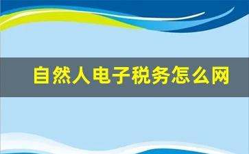 自然人电子税务怎么网上报税,个人所得税怎么打印工资流水