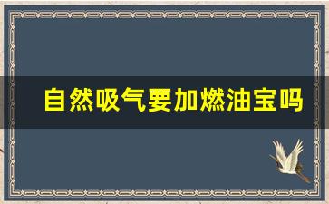 自然吸气要加燃油宝吗