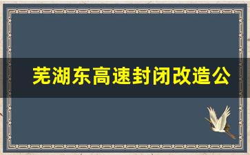 芜湖东高速封闭改造公告