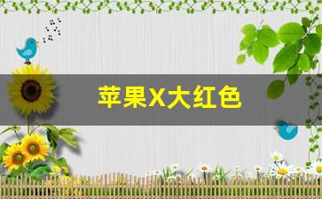 苹果X大红色