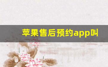 苹果售后预约app叫什么