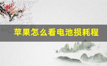 苹果怎么看电池损耗程度,换苹果电池需要多少钱