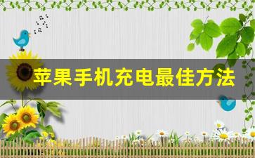 苹果手机充电最佳方法,iphone官方充电建议