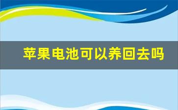 苹果电池可以养回去吗,苹果14电池掉的快什么原因