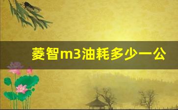 菱智m3油耗多少一公里,菱智m3能拉几吨货