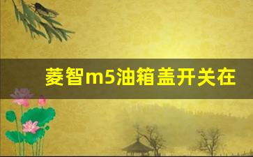 菱智m5油箱盖开关在哪图片,东风风行油箱盖开关位置