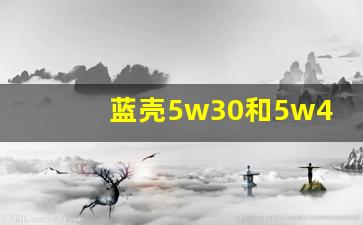 蓝壳5w30和5w40哪个好