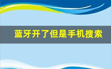 蓝牙开了但是手机搜索不到