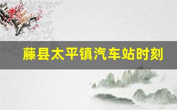 藤县太平镇汽车站时刻表,太平至藤县专线车时间