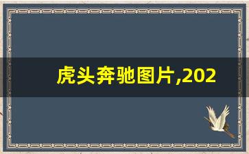 虎头奔驰图片,2023虎头奔现在多少钱一辆