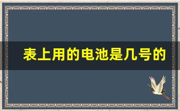 表上用的电池是几号的