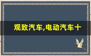 观致汽车,电动汽车十大名牌排名及价格