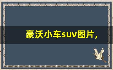 豪沃小车suv图片,suv车型10万左右