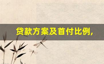 贷款方案及首付比例,领克03贷款方案首付