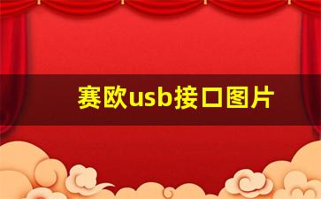 赛欧usb接口图片