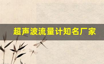 超声波流量计知名厂家,国内流量计厂家