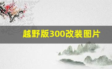 越野版300改装图片,长城300黑武士原装