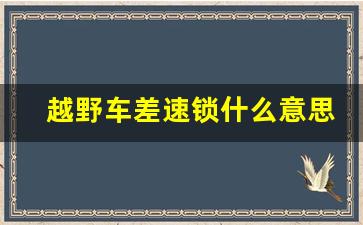 越野车差速锁什么意思,越野车二把锁三把锁什么区别