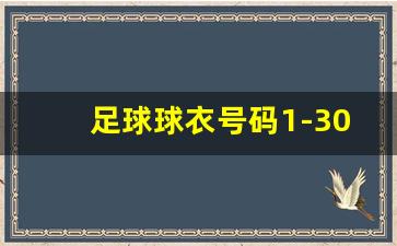 足球球衣号码1-30意义,足球1～10号位是哪个位置