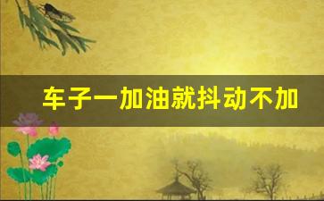 车子一加油就抖动不加油不抖,80到90码踩油门车身抖动