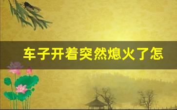 车子开着突然熄火了怎么回事,发动机行驶中熄火原因有哪些