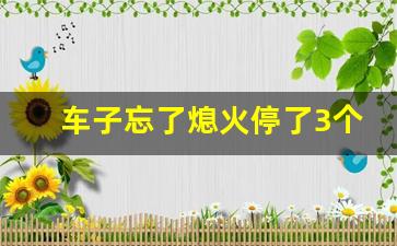 车子忘了熄火停了3个多小时