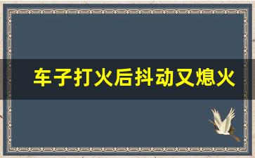 车子打火后抖动又熄火怎么修