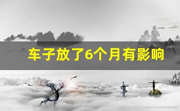 车子放了6个月有影响吗,一个月开4次建议买车吗