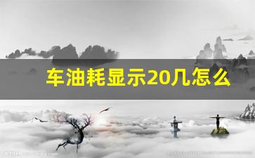 车油耗显示20几怎么回事,大众车刚启动油耗20多个